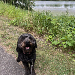 VP Blomquist Zoey copy