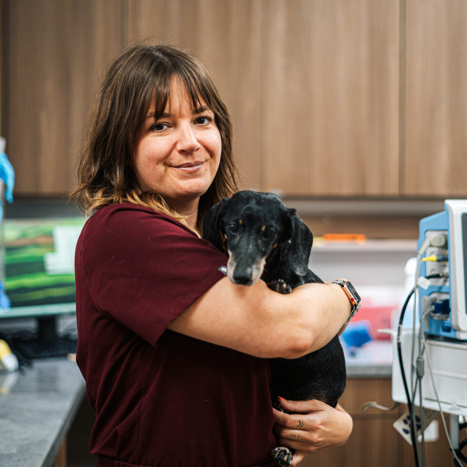 Vet Partners Edina: Local Veterinary Care in Edina, MN- Vet Partners ...