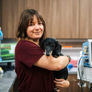 Vet Partners Edina Veterinarian
